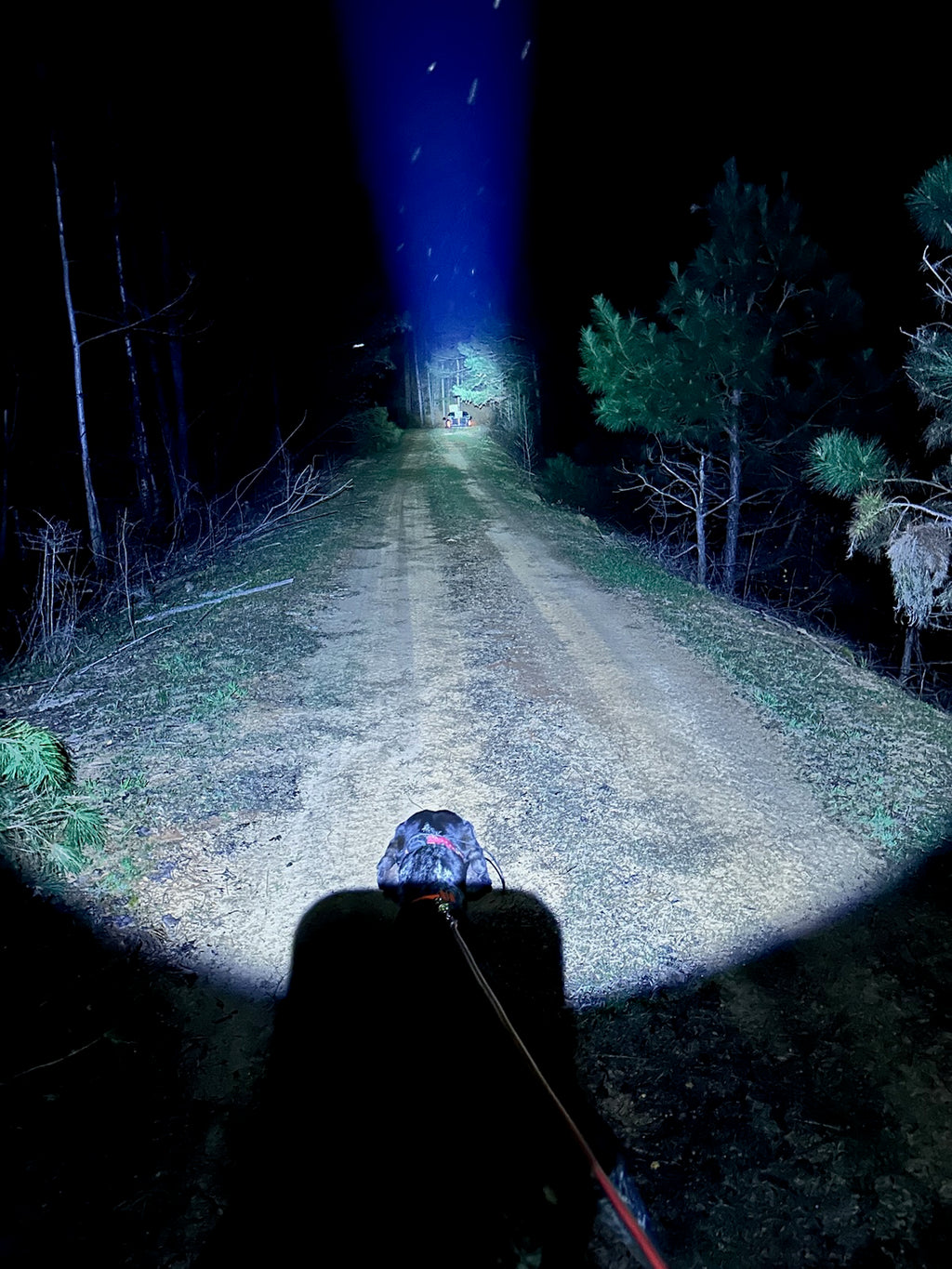 10 Watt Rechargeable Headlamp