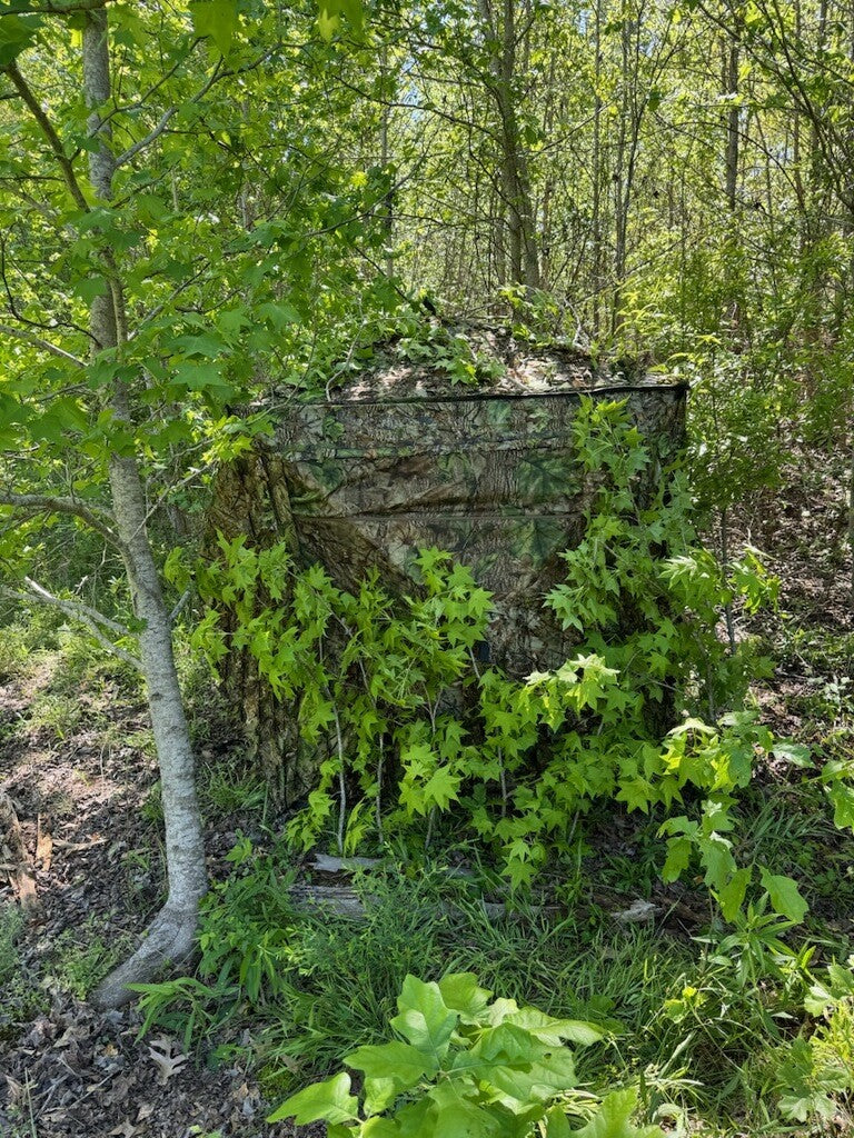 Pop Up Hunting Blind with Leafy Camouflage